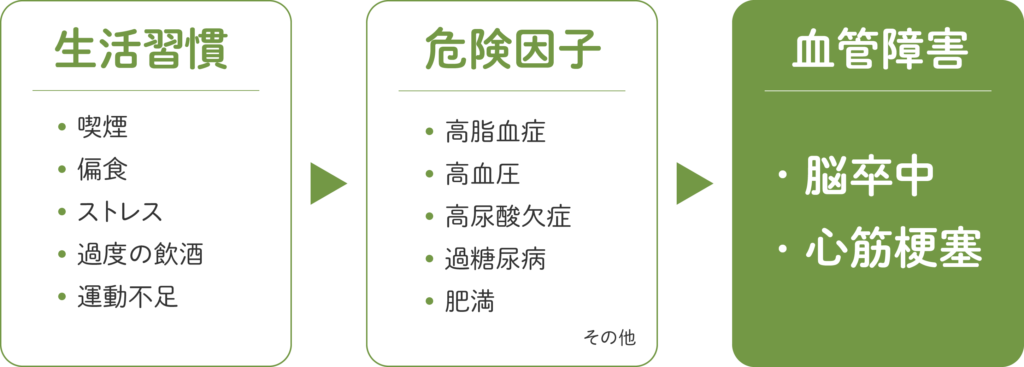 図：「動脈硬化を促進させる要因」。喫煙、偏食、ストレス、過度の飲酒、運動不足などの生活習慣で、高脂血症・高血圧・高尿酸欠症・過糖尿病・肥満・そのほかの危険因子が発生してしまう。その結果、脳卒中・心筋梗塞などの血管障害が生じてしまう。